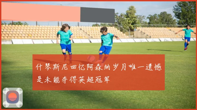 什琴斯尼回忆阿森纳岁月唯一遗憾是未能夺得英超冠军