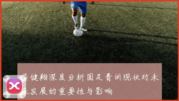 黄健翔深度分析国足青训现状对未来发展的重要性与影响